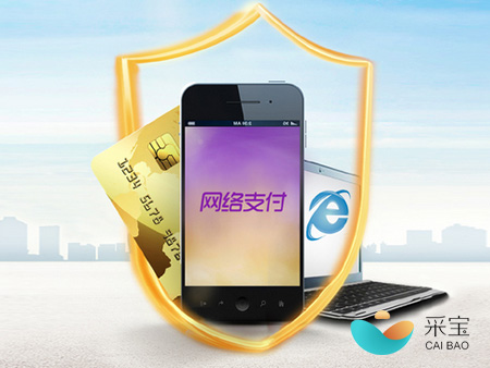 支付寶 網(wǎng)絡支付